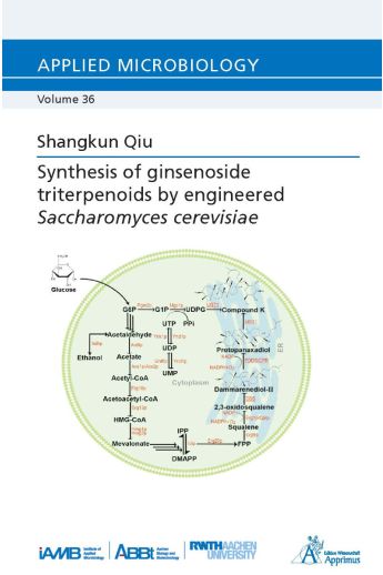 Synthesis of ginsenoside triterpenoids by engineered Saccharomyces cerevisiae